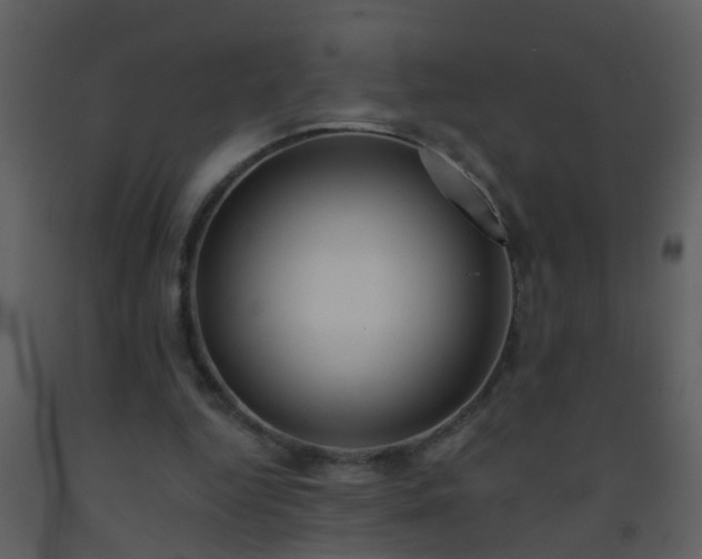 X0000093580344200710221508
