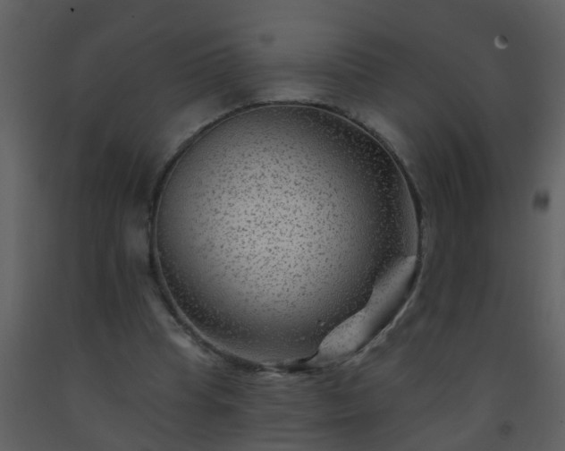 X0000093580345200710221508