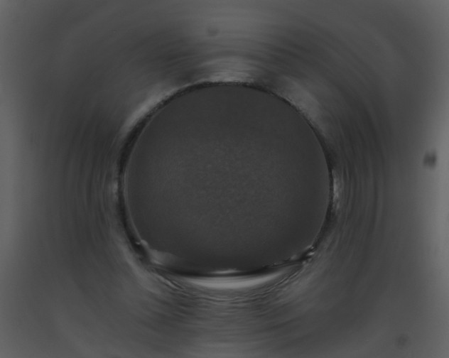 X0000093580348200710221508
