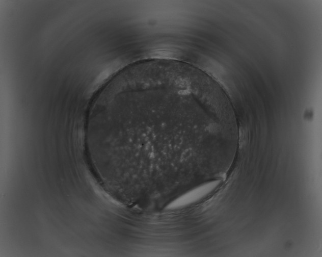 X0000093580349200710221508