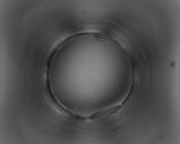 X0000093580350200710221508