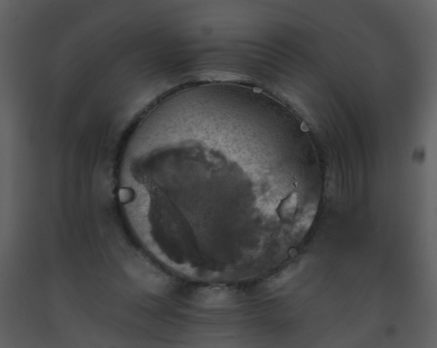 X0000093580351200710221508