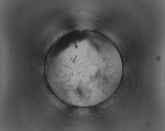 X0000093580353200710221508