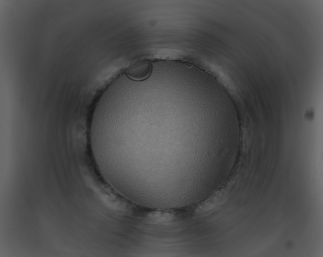 X0000093580354200710221508
