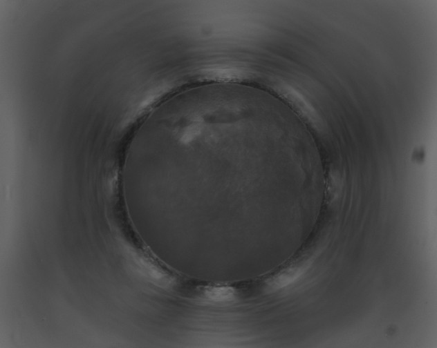 X0000093580355200710221508