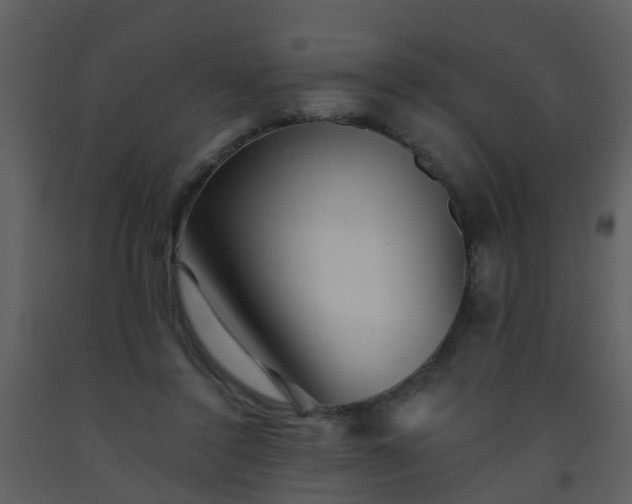 X0000093580356200710221508