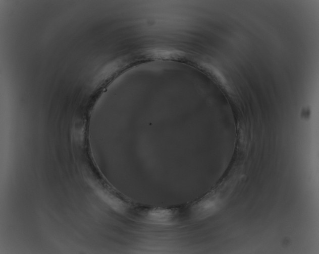 X0000093580357200710221508