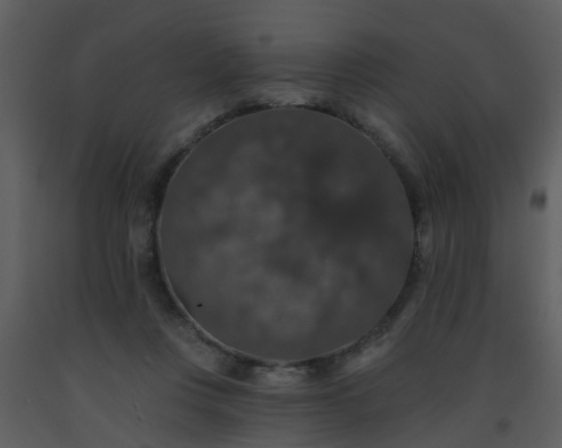 X0000093580359200710221508