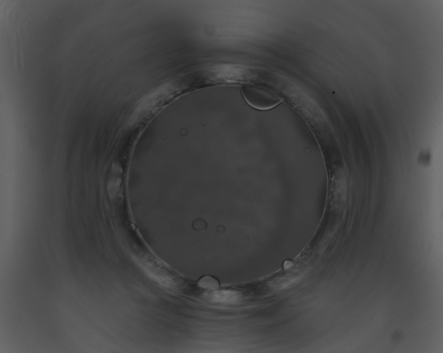 X0000093580361200710221508
