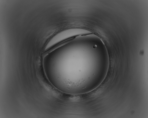 X0000093580362200710221508