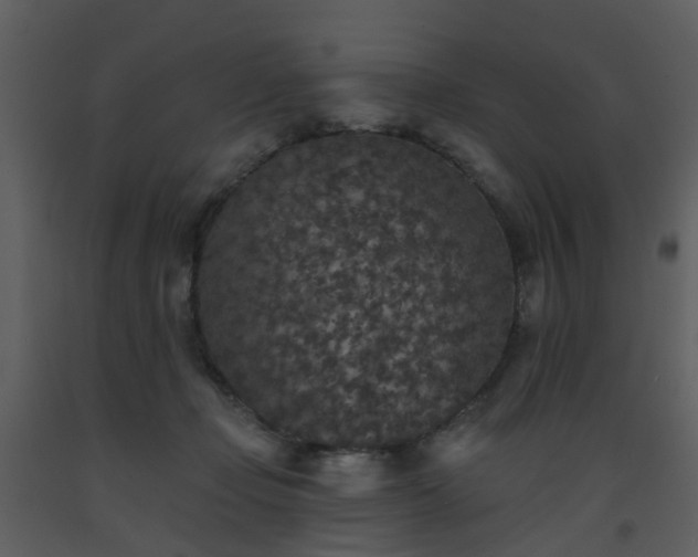 X0000093580365200710221508
