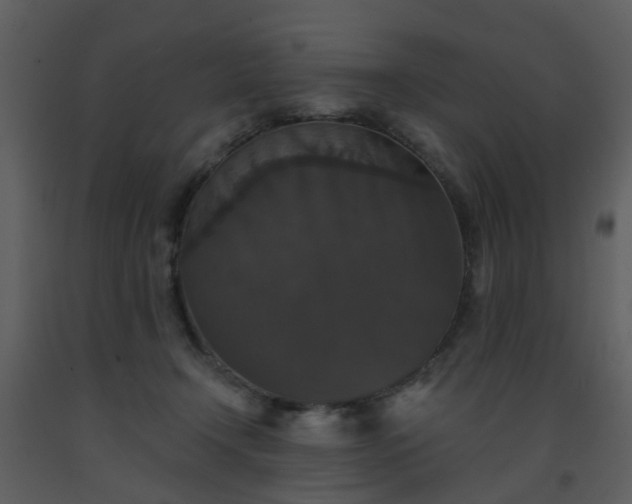 X0000093580366200710221508