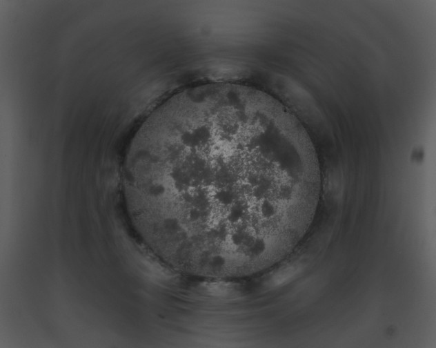 X0000093580367200710221508