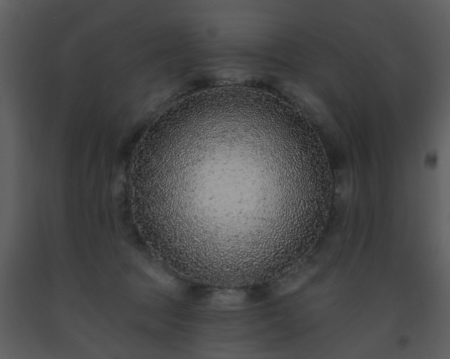 X0000093580369200710221508