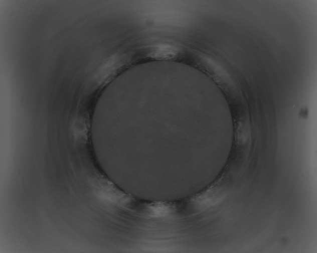 X0000093580370200710221508