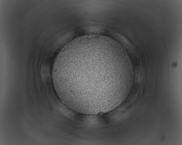 X0000093580377200710221508