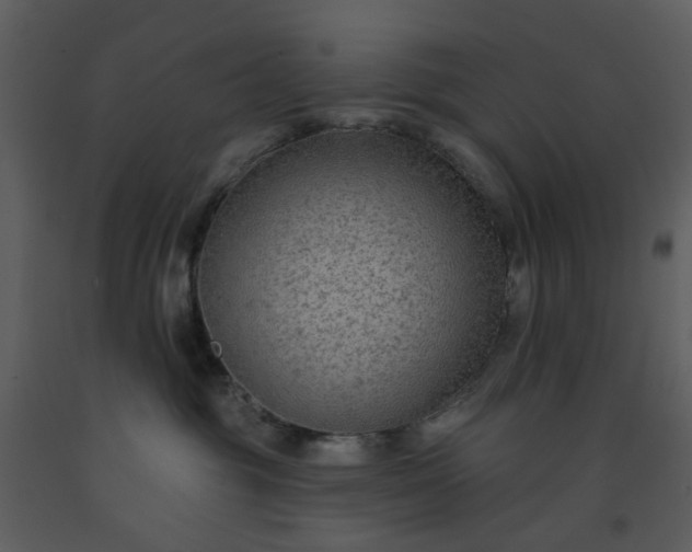 X0000093580381200710221508