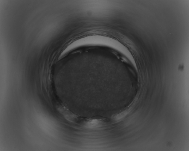 X0000093580382200710221508