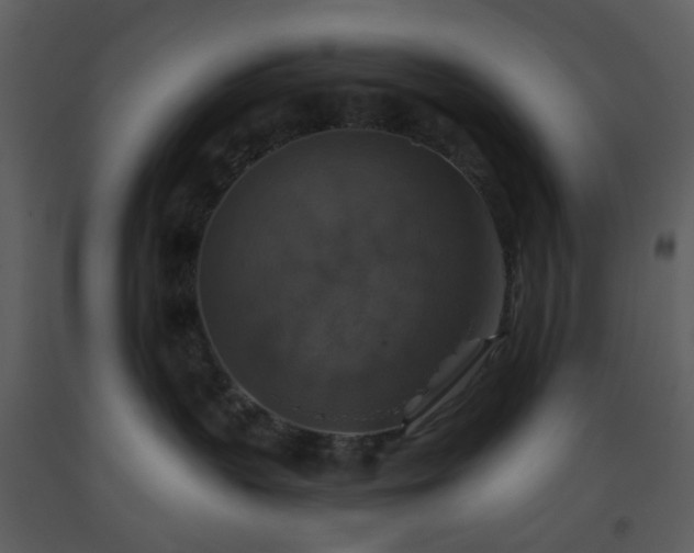 X0000093580383200710221508