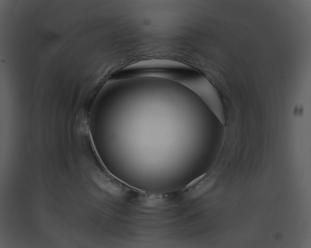 X0000093580384200710221508