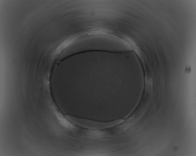 X0000093580389200710221507