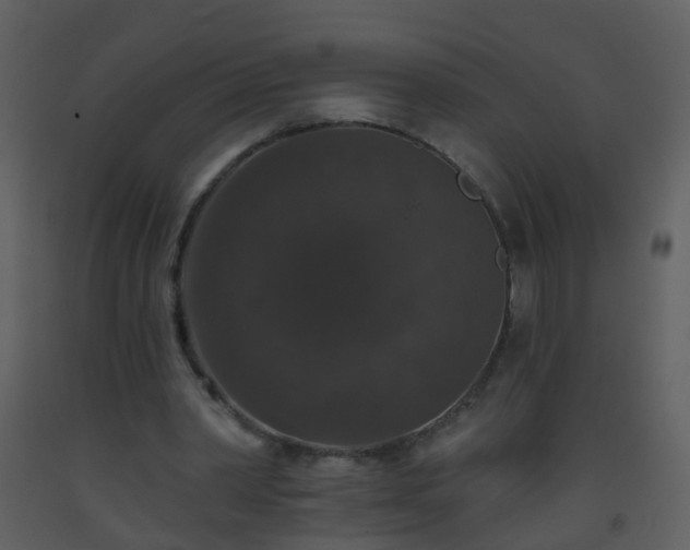X0000093580390200710221507