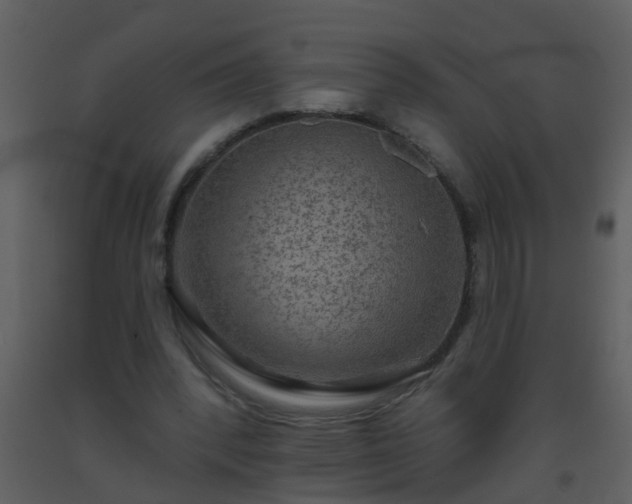 X0000093580392200710221507