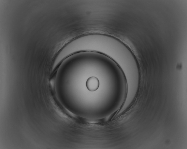 X0000093580393200710221507