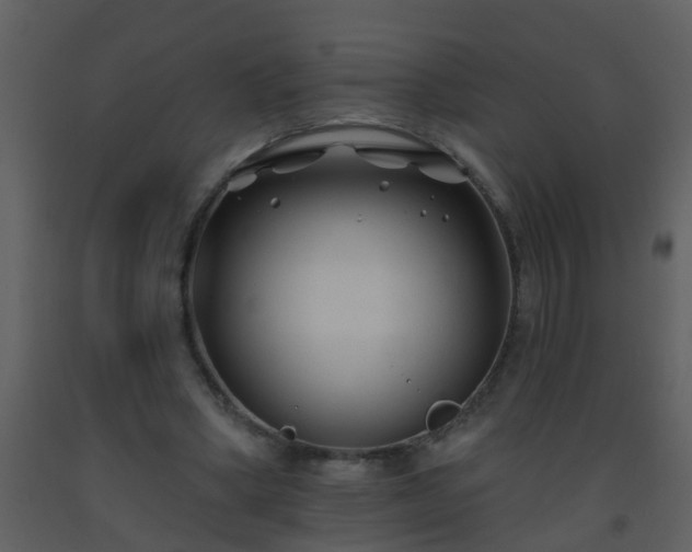 X0000093580394200710221507