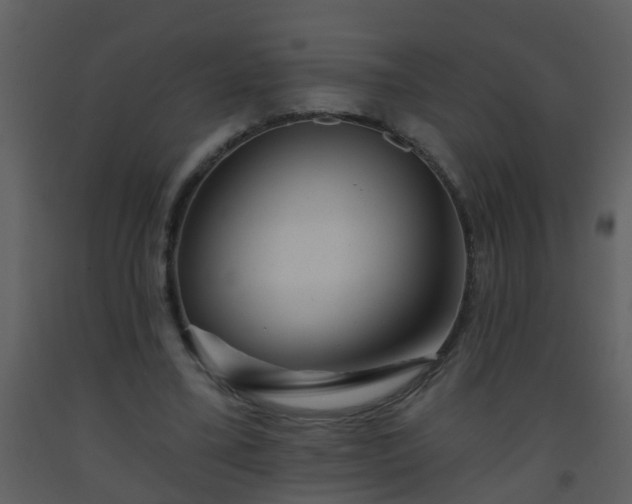 X0000093580395200710221507