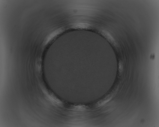 X0000093580396200710221507