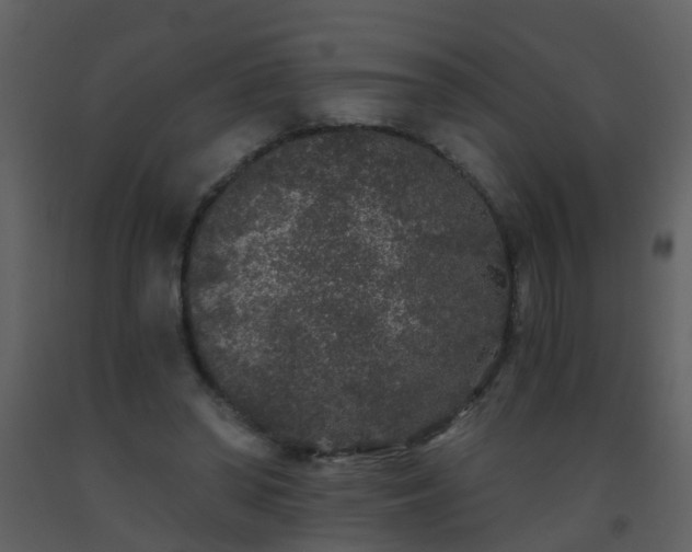 X0000093580398200710221507