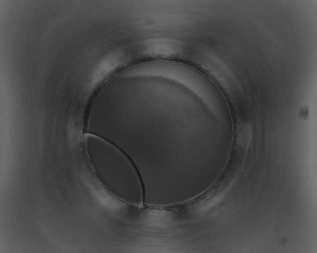 X0000093580399200710221507