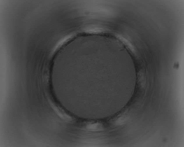 X0000093580400200710221507