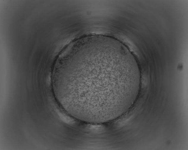 X0000093580401200710221507