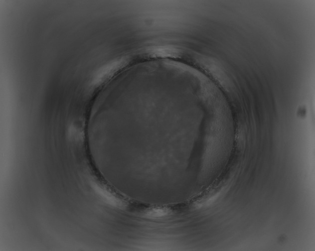 X0000093580402200710221507