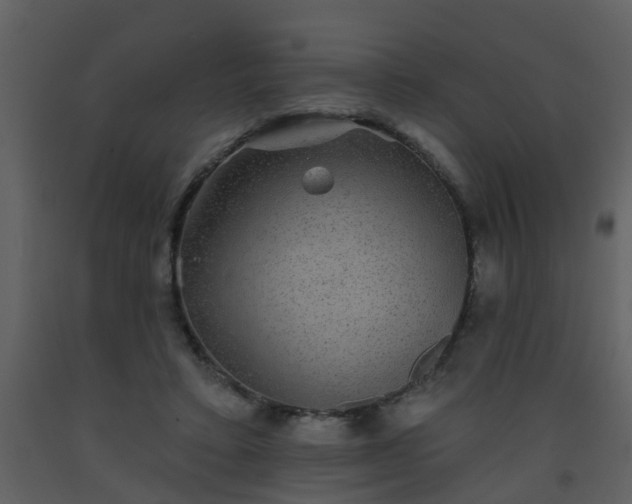 X0000093580403200710221507