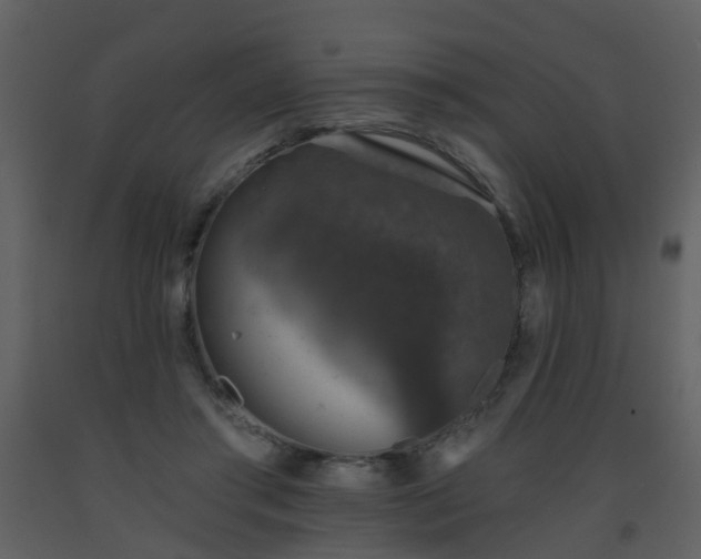 X0000093580405200710221507