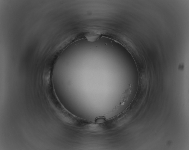 X0000093580406200710221507