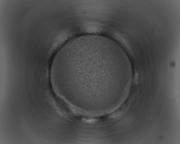 X0000093580407200710221507