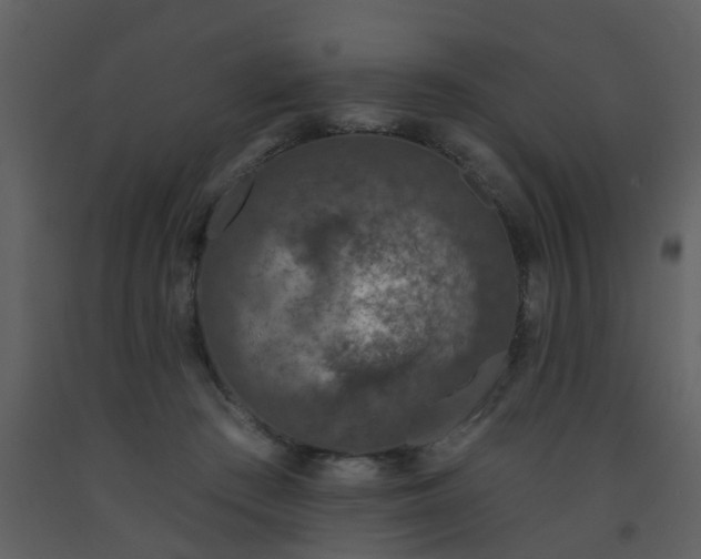 X0000093580409200710221507