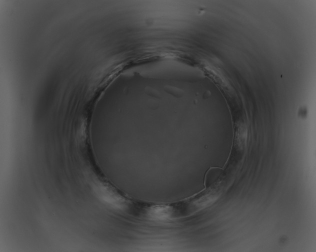 X0000093580410200710221507