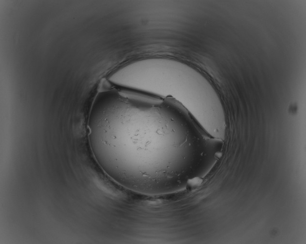 X0000093580411200710221507