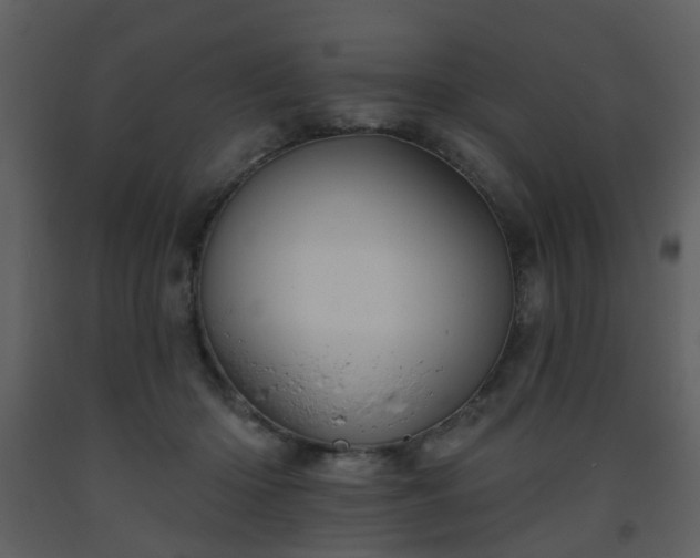 X0000093580414200710221507