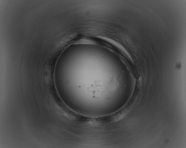 X0000093580416200710221507