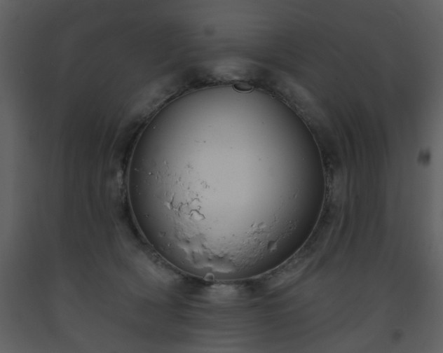 X0000093580418200710221507