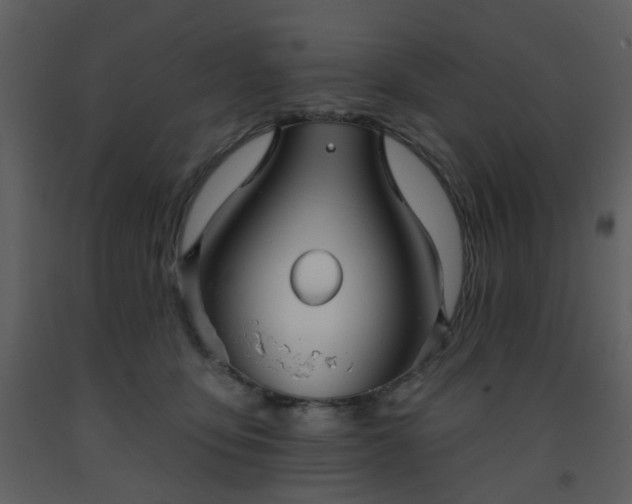 X0000093580419200710221507