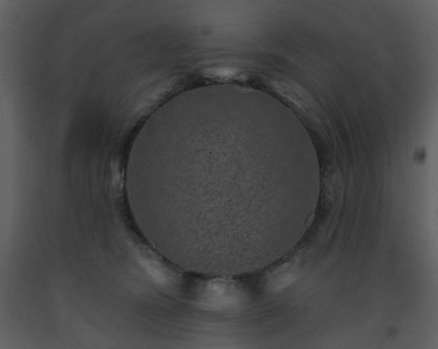 X0000093580420200710221507