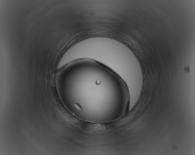 X0000093580421200710221507