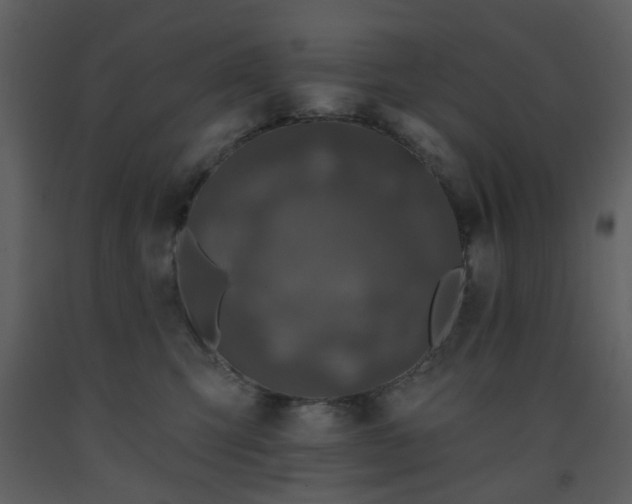 X0000093580423200710221507